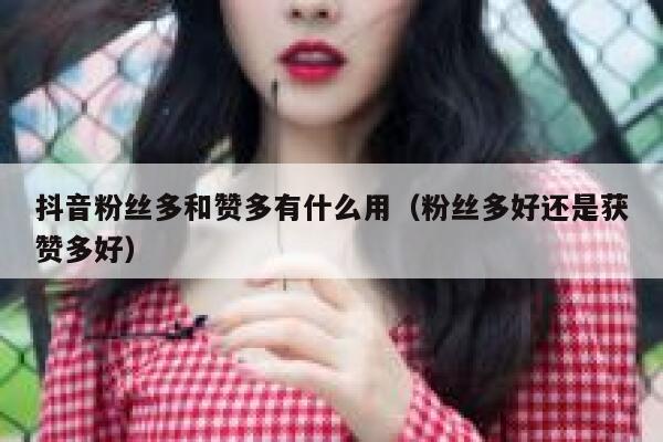 抖音粉丝多和赞多有什么用（粉丝多好还是获赞多好） 第1张