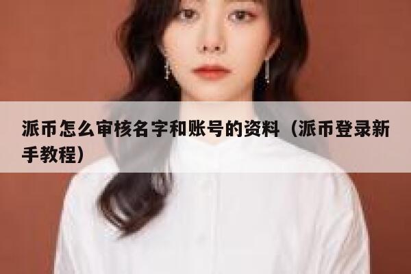 派币怎么审核名字和账号的资料（派币登录新手教程） 第1张