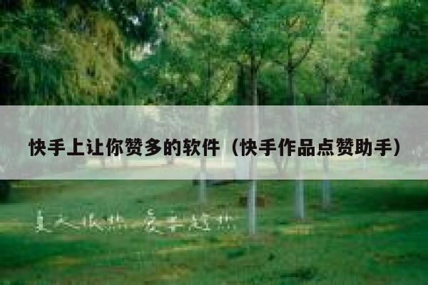 快手上让你赞多的软件（快手作品点赞助手） 第1张