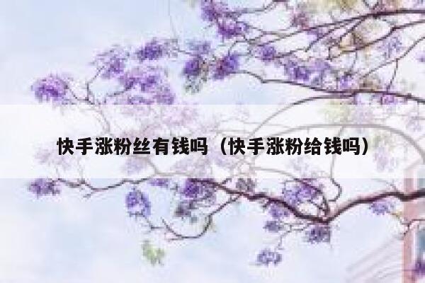 快手涨粉丝有钱吗（快手涨粉给钱吗） 第1张