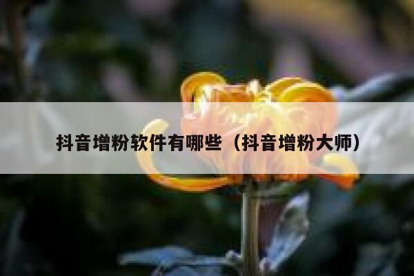 抖音增粉软件有哪些(抖音增粉大师) 第1张 抖音增粉软件有哪些(抖音增粉大师) 第1张