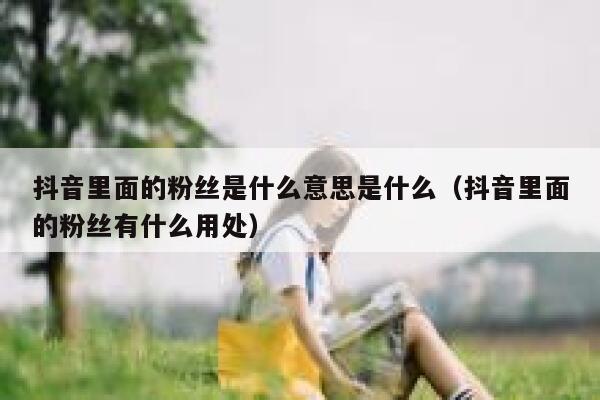抖音里面的粉丝是什么意思是什么（抖音里面的粉丝有什么用处） 第1张