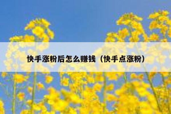 快手涨粉后怎么赚钱（快手点涨粉） 第1张