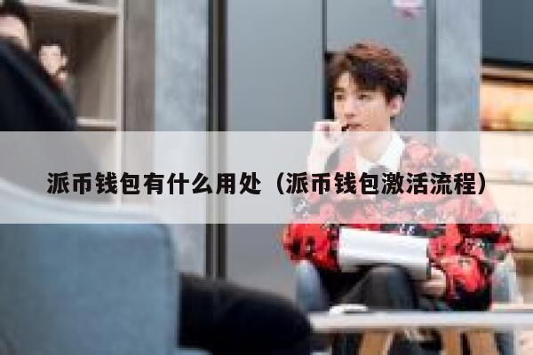 派币钱包有什么用处（派币钱包激活流程） 第1张