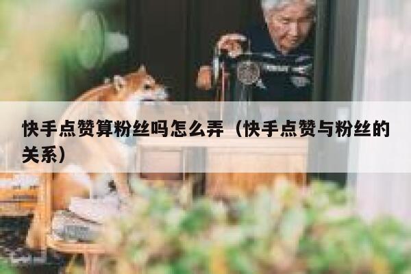 快手点赞算粉丝吗怎么弄（快手点赞与粉丝的关系） 第1张