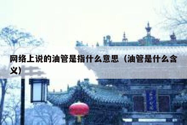 网络上说的油管是指什么意思（油管是什么含义） 第1张