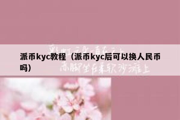 派币kyc教程（派币kyc后可以换人民币吗） 第1张