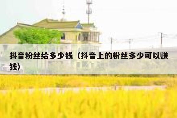 抖音粉丝给多少钱（抖音上的粉丝多少可以赚钱） 第1张