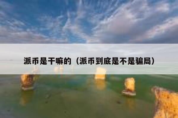 派币是干嘛的（派币到底是不是骗局） 第1张