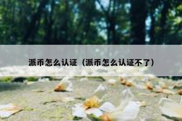 派币怎么认证（派币怎么认证不了） 第1张