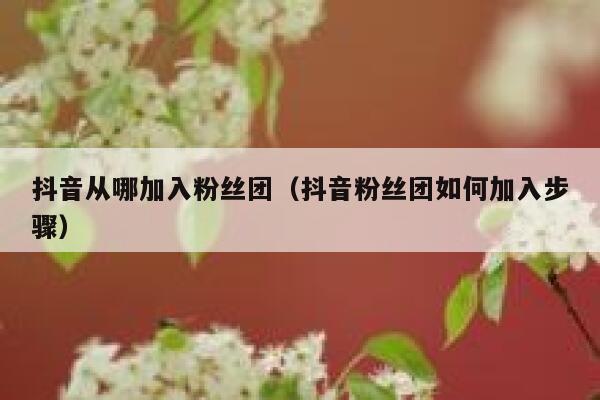 抖音从哪加入粉丝团（抖音粉丝团如何加入步骤） 第1张