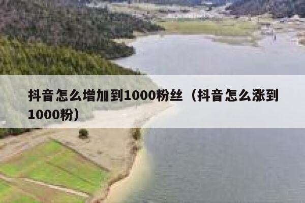 抖音怎么增加到1000粉丝（抖音怎么涨到1000粉） 第1张