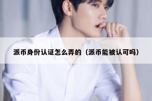 派币身份认证怎么弄的（派币能被认可吗） 第1张
