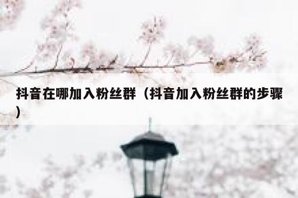 抖音在哪加入粉丝群（抖音加入粉丝群的步骤） 第1张