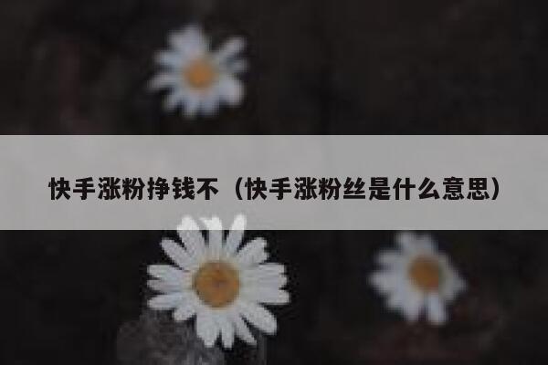快手涨粉挣钱不（快手涨粉丝是什么意思） 第1张