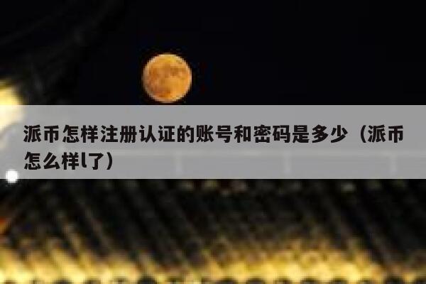 派币怎样注册认证的账号和密码是多少（派币怎么样l了） 第1张