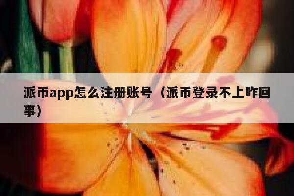 派币app怎么注册账号（派币登录不上咋回事） 第1张