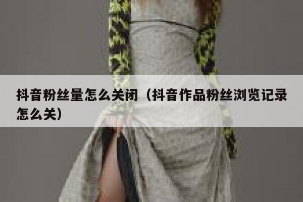 抖音粉丝量怎么关闭（抖音作品粉丝浏览记录怎么关） 第1张