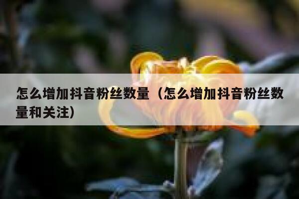怎么增加抖音粉丝数量（怎么增加抖音粉丝数量和关注） 第1张