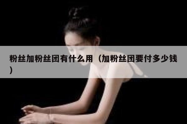 粉丝加粉丝团有什么用（加粉丝团要付多少钱） 第1张