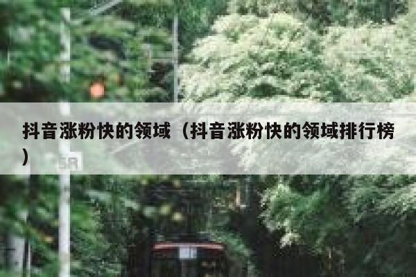 抖音涨粉快的领域（抖音涨粉快的领域排行榜） 第1张
