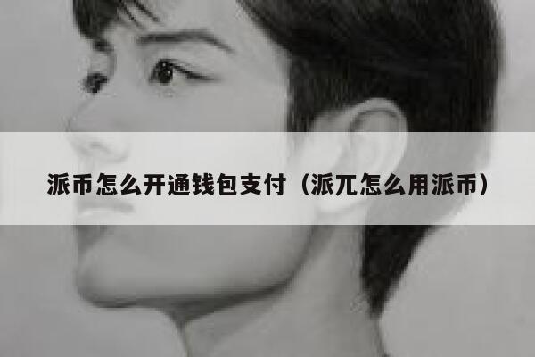派币怎么开通钱包支付(派兀怎么用派币) 第1张 派币怎么开通钱包支付(派兀怎么用派币) 第1张