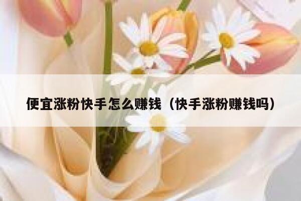 便宜涨粉快手怎么赚钱(快手涨粉赚钱吗) 第1张 便宜涨粉快手怎么赚钱(快手涨粉赚钱吗) 第1张