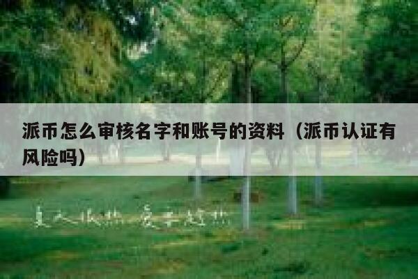 派币怎么审核名字和账号的资料（派币认证有风险吗） 第1张