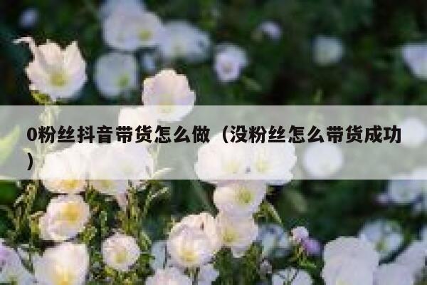 0粉丝抖音带货怎么做（没粉丝怎么带货成功） 第1张