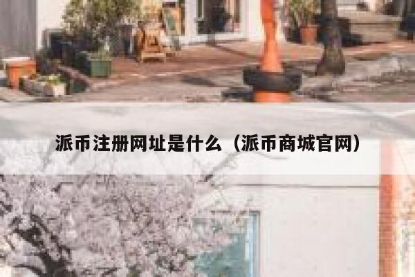派币注册网址是什么(派币商城官网) 第1张 派币注册网址是什么(派币商城官网) 第1张