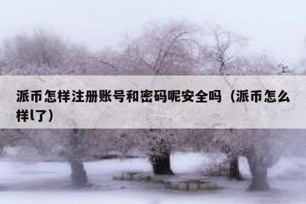 派币怎样注册账号和密码呢安全吗（派币怎么样l了） 第1张