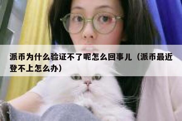 派币为什么验证不了呢怎么回事儿（派币最近登不上怎么办） 第1张