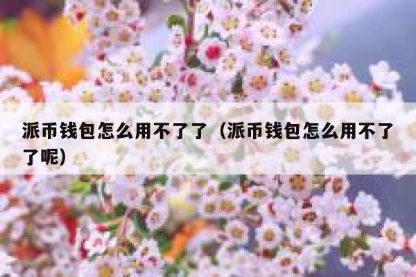派币钱包怎么用不了了（派币钱包怎么用不了了呢） 第1张