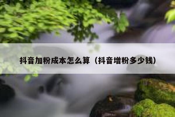 抖音加粉成本怎么算（抖音增粉多少钱） 第1张