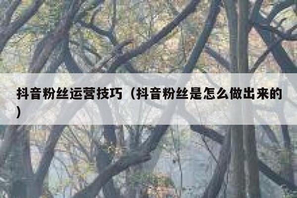 抖音粉丝运营技巧(抖音粉丝是怎么做出来的) 第1张 抖音粉丝运营技巧(抖音粉丝是怎么做出来的) 第1张