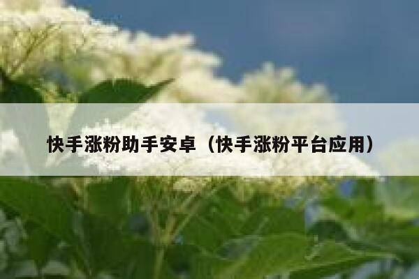 快手涨粉助手安卓（快手涨粉平台应用） 第1张