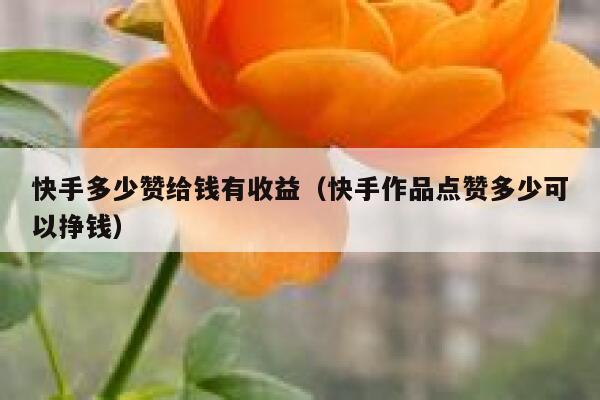 快手多少赞给钱有收益(快手作品点赞多少可以挣钱) 第1张 快手多少赞给钱有收益(快手作品点赞多少可以挣钱) 第1张