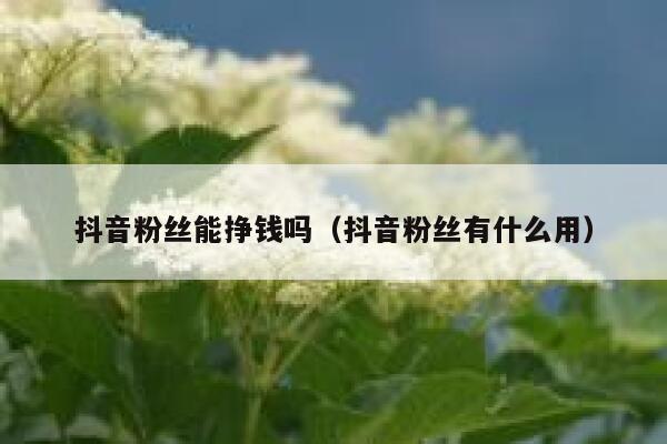 抖音粉丝能挣钱吗(抖音粉丝有什么用) 第1张 抖音粉丝能挣钱吗(抖音粉丝有什么用) 第1张