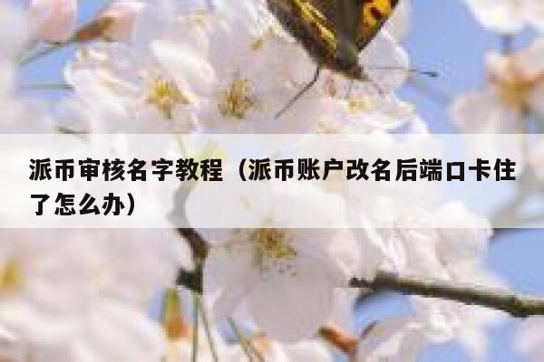 派币审核名字教程（派币账户改名后端口卡住了怎么办） 第1张