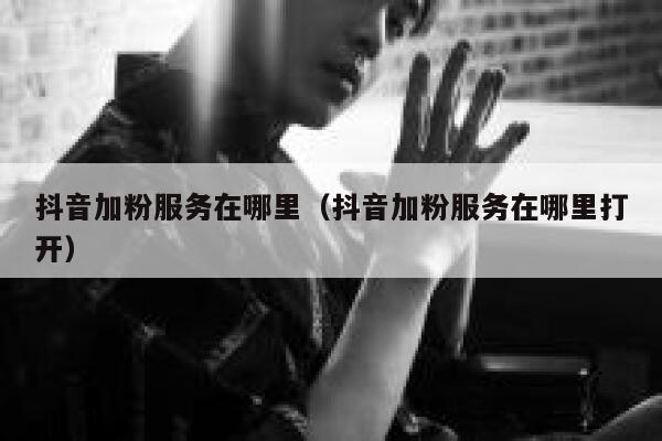 抖音加粉服务在哪里(抖音加粉服务在哪里打开) 第1张 抖音加粉服务在哪里(抖音加粉服务在哪里打开) 第1张