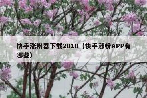 快手涨粉器下载2010（快手涨粉APP有哪些） 第1张