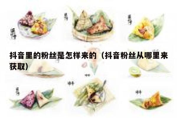 抖音里的粉丝是怎样来的（抖音粉丝从哪里来获取） 第1张
