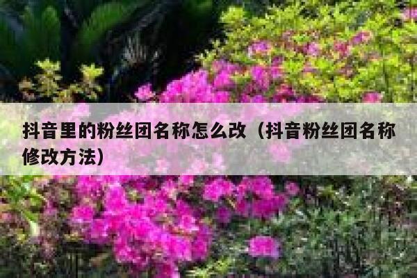 抖音里的粉丝团名称怎么改（抖音粉丝团名称修改方法） 第1张