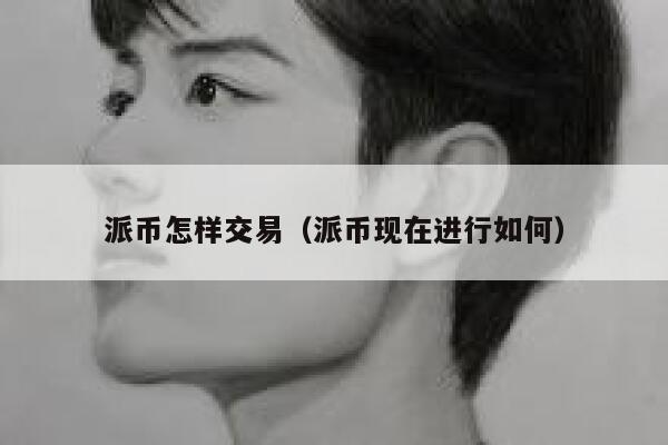 派币怎样交易(派币现在进行如何) 第1张 派币怎样交易(派币现在进行如何) 第1张