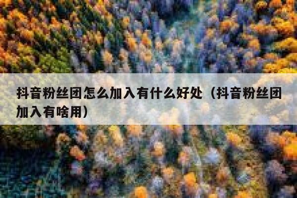 抖音粉丝团怎么加入有什么好处（抖音粉丝团加入有啥用） 第1张