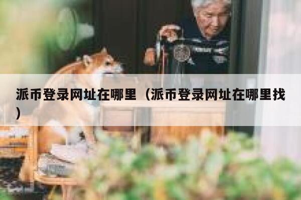 派币登录网址在哪里（派币登录网址在哪里找） 第1张