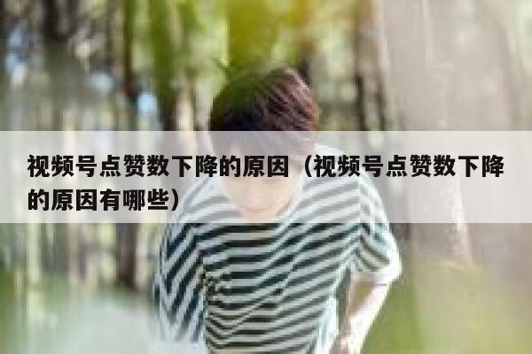 视频号点赞数下降的原因（视频号点赞数下降的原因有哪些） 第1张