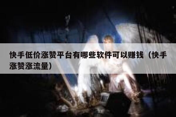 快手低价涨赞平台有哪些软件可以赚钱(快手涨赞涨流量) 第1张 快手低价涨赞平台有哪些软件可以赚钱(快手涨赞涨流量) 第1张