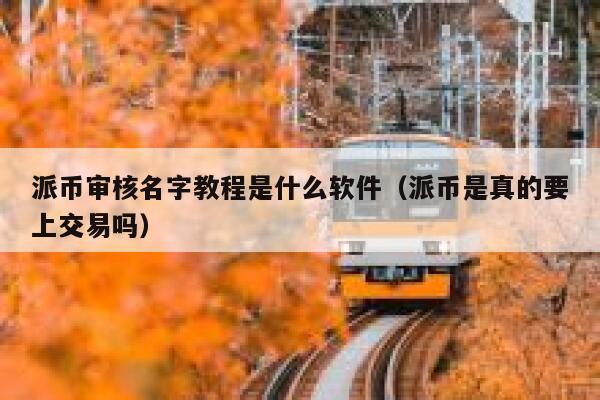 派币审核名字教程是什么软件（派币是真的要上交易吗） 第1张