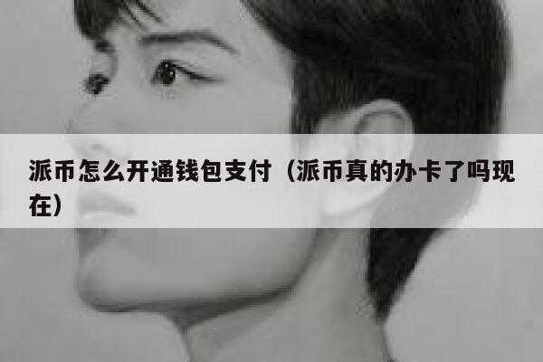 派币怎么开通钱包支付(派币真的办卡了吗现在) 第1张 派币怎么开通钱包支付(派币真的办卡了吗现在) 第1张